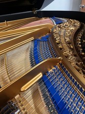 Bluthner Kaiser Jubilee Fully Restored Grand Piano - Warranty - Delivery