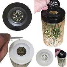 Praying Mantis/Stick