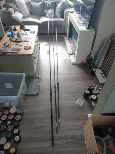 Two daiwa emcast 10ft 3lb - 3lb, carp