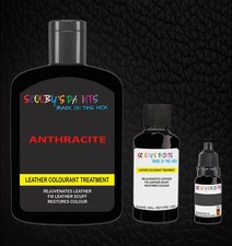 Leather repair Paint Colourant