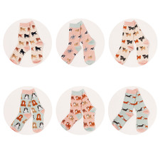 Socks Gift Dachshund Labrador