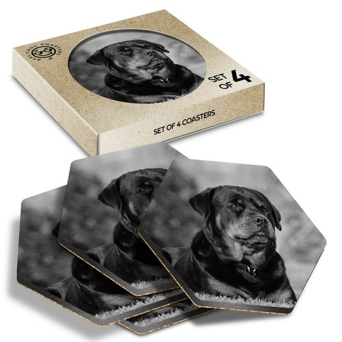 Hexagon coasters bw - coasters,