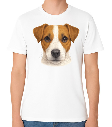 Jack russell terrier dog face - russell,