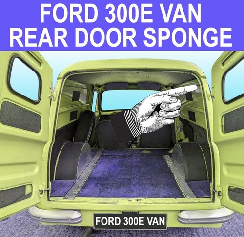 Ford 300e van - van, door