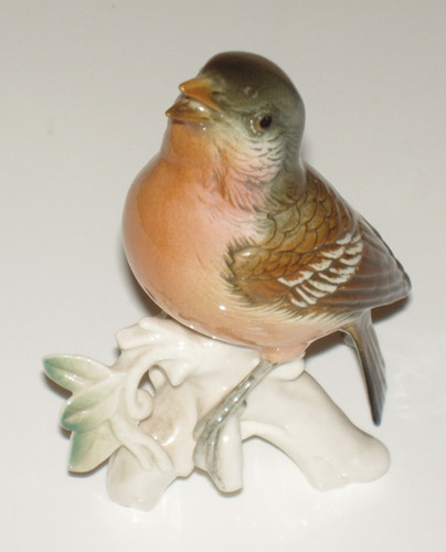 Fabulous vintage british bird - vintage,