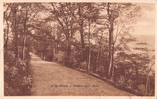 POSTCARD - SOMERSET - WESTON