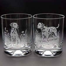 Dalmatian Dog Whiskey Tumbler