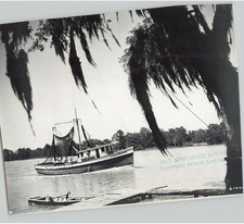 Shrimp Boat RAMOS PRIDE CAT