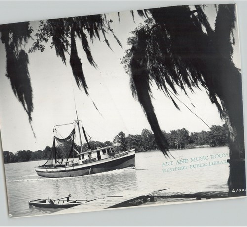 Shrimp boat ramos - ramos, pride