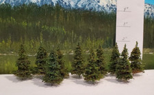 MOOSE CREEK TREES - Fir / Pine