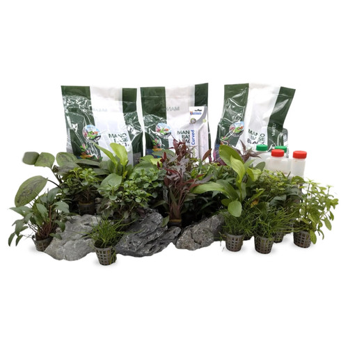 180l planted aquarium bundle - aquarium,