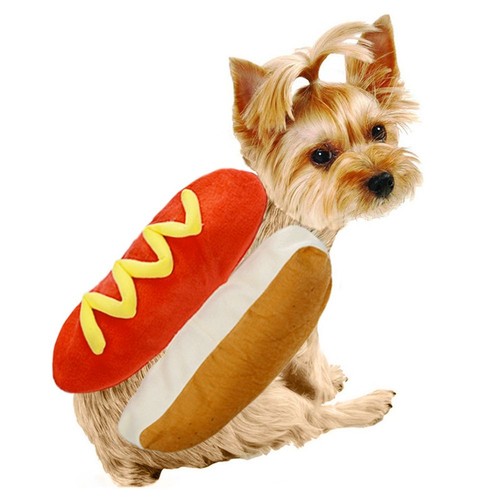 Pets costume clothes - costume,