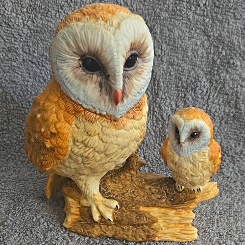 Leonardo barn owls - leonardo,