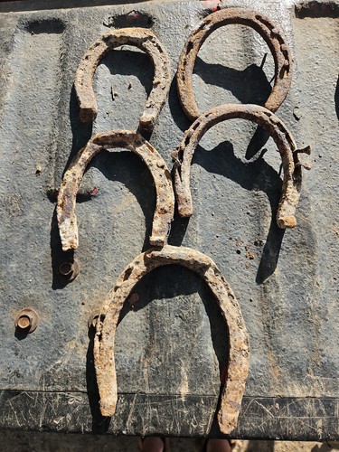 Antique rusty horseshoe - horseshoe,