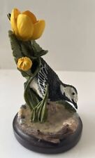 British Birds Pied Wagtail 2003 Oiseaux Country Bird Collection Andy Pearce 3”