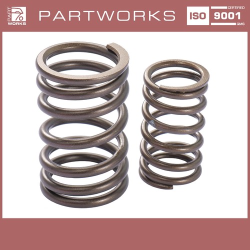 Valve spring kit - valve, porsche