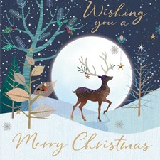 Mary Stevens Hospice Christmas