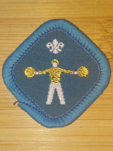 Scouting scout proficiency - scout,