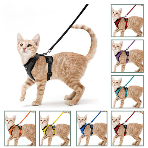 Pet cat harness and lead - pet,