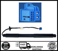 Tailgate (RH) Gas Strut Lift