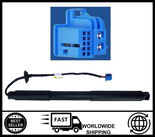 Tailgate gas strut - tailgate,