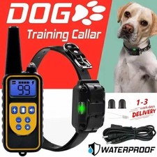 800M Dog Pet Training Collar