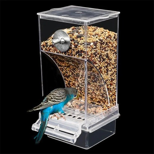 Squirrel proof hanging bird - squirrel,
