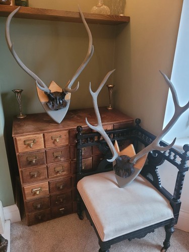 One unusual interior - one,