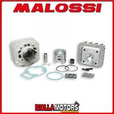 318463 THERMAL GROUP MALOSSI