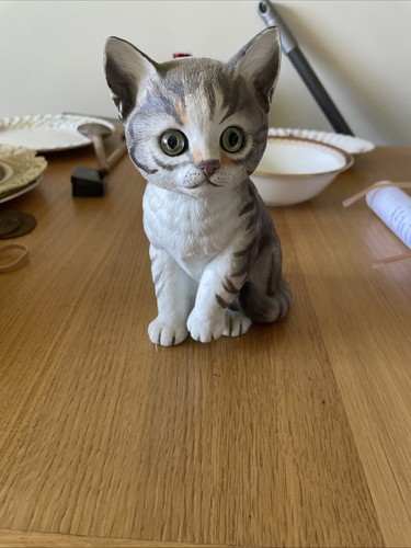 Muffin danbury mint kitten - danbury,