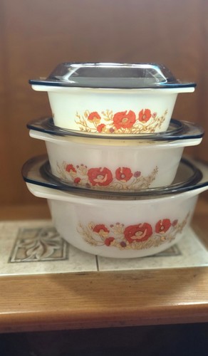 Vintage 1970s arcopal pyrex - 1970s,
