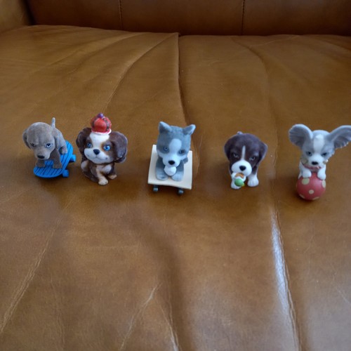 Vintage puppy pocket - in, my