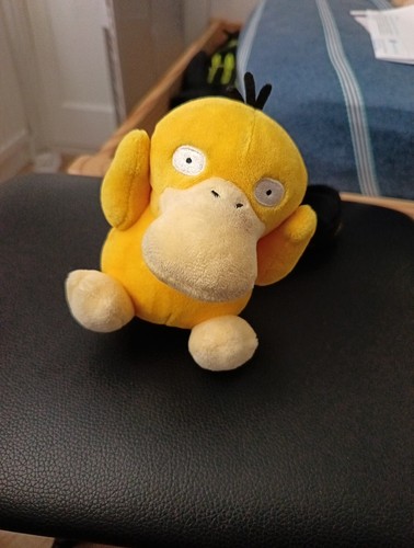 Waterloo psyduck sitting - waterloo,