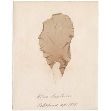 Antique 1833 scottish dried - 1833,