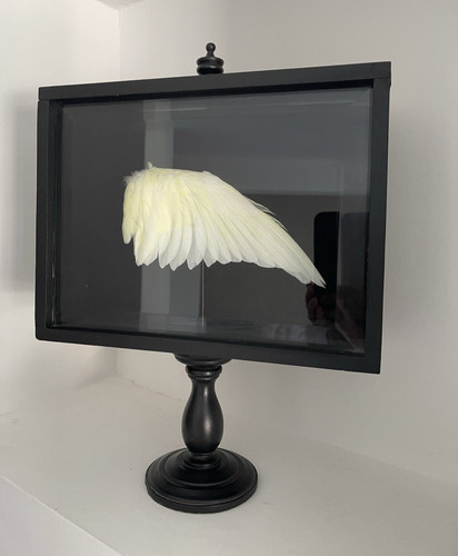 Roche bobois wing home decor - roche,