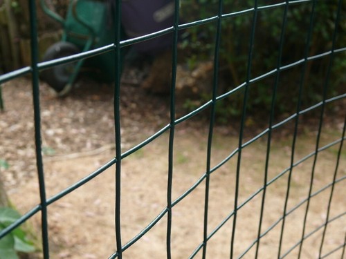 Galvanised welded wire mesh - galvanised,