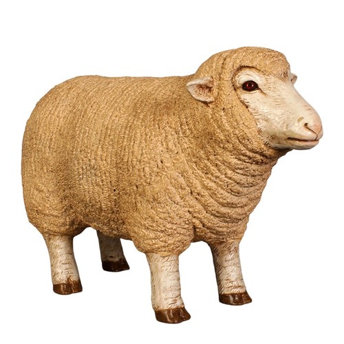 54cm merino ewe - 54cm, sheep