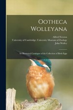 Ootheca Wolleyana: An