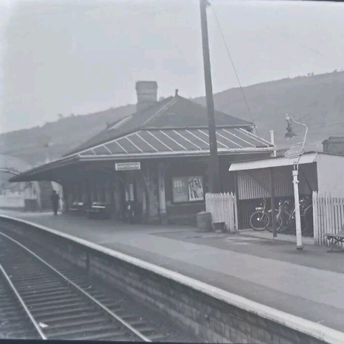 Larger negative treforest - negative,