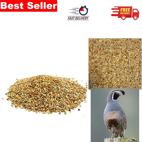 750g quail seed mix bird - 750g,