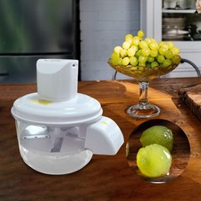 Automatic Fruit  Electric