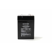 Lightalarms RCL3000 6V 4.5Ah