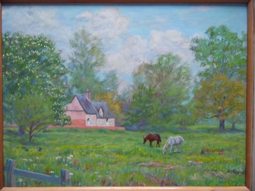 Rural landscape horses grazing - horses,