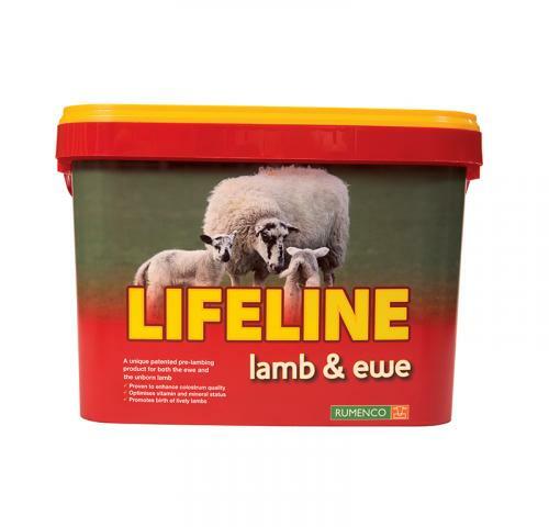 Rumenco lifeline lamb ewe - lifeline,