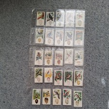 Birds and their eggs  full set very good Condition Lamberts. 