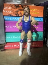 Wwe mattel custom hacksaw jim