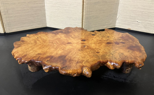 Japanese burl wood bonsai - wood,