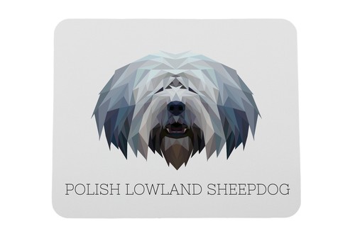 Polish lowland sheepdog - polish,