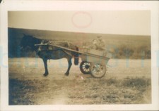 1920s Original Photo Horse and buggy south of england 3.5x2.5"
