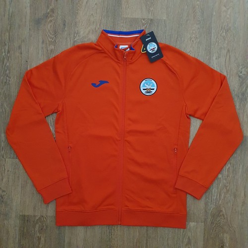 Swansea city presentation - city,